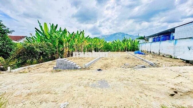 KHÔNG THỂ TIN ĐẤT PHƯỜNG TÂY NHA TRANG GIÁ CÒN RẺ HƠN ĐẤT DIÊN KHÁNH