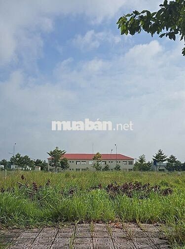 BÁN ĐẤT ĐẸP LAI UYÊN - BÀU BÀNG 333m2/650TR HỢP ĐẦU TƯ KINH DOANH SHR