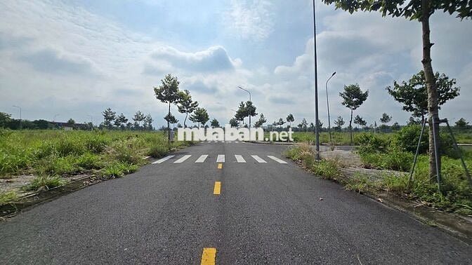 BÁN ĐẤT ĐẸP LAI UYÊN - BÀU BÀNG 333m2/650TR HỢP ĐẦU TƯ KINH DOANH SHR