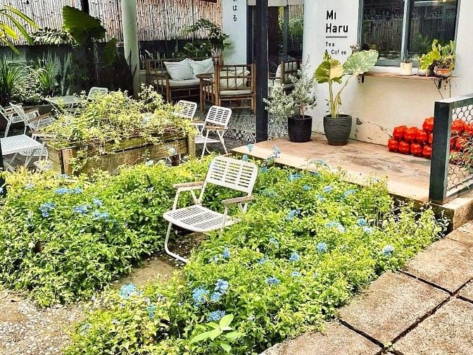 🍃🌺🍃 SANG NHƯỢNG QUÁN CAFE SIÊU XINH TẠI PHÚ MỸ – BÀ RỊA VŨNG TÀU 🍃