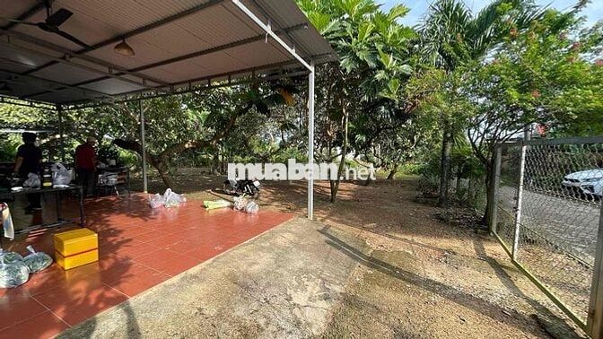 bán đất hiếu liêm , cách hồ trị an 1km