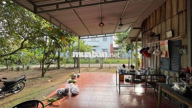 bán đất hiếu liêm , cách hồ trị an 1km