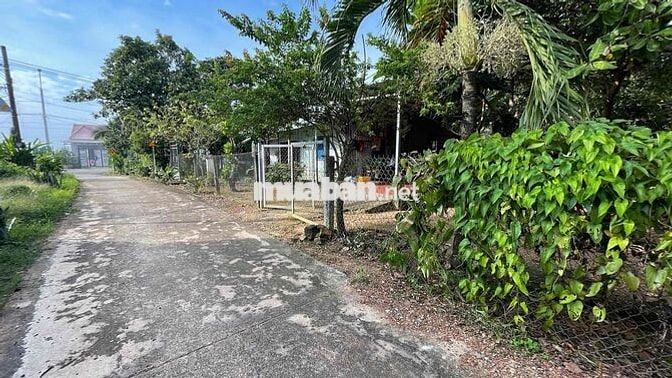 bán đất hiếu liêm , cách hồ trị an 1km