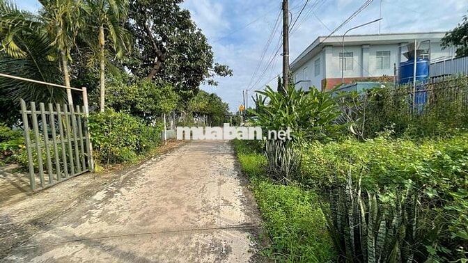 bán đất hiếu liêm , cách hồ trị an 1km