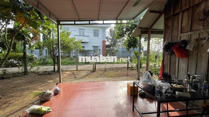 bán đất hiếu liêm , cách hồ trị an 1km