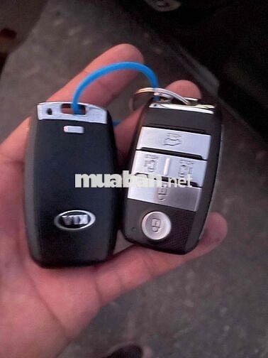 Kia Grand Sedona Dầu màu Nâu