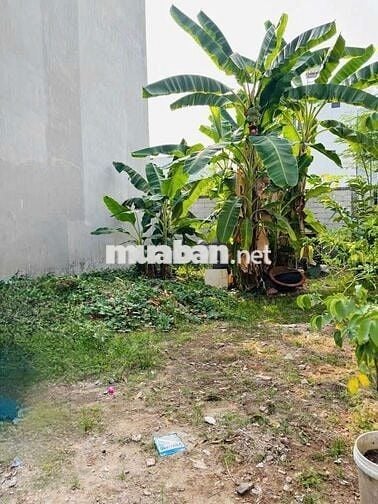 bán đất hiện hữu be ngang 8 m lê văn lương phước kiểng đường xe hơi 