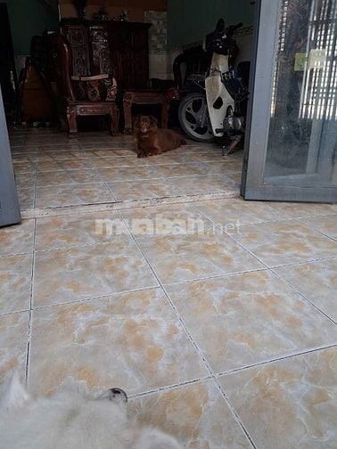 Bán nhà SH riêng- Rộng 4m-1 lầu- gần đường Nguyễn Ảnh Thủ- Nhỉnh 3 tỷ