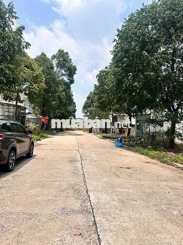 BÁN ĐẤT ĐẸP MỸ PHƯỚC 2-BẾN CÁT 300M2/800TR HỢP ĐẦU TƯ KINH DOANH SHR