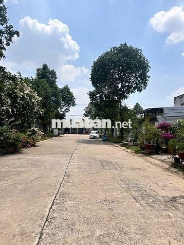 BÁN ĐẤT ĐẸP MỸ PHƯỚC 2-BẾN CÁT 300M2/800TR HỢP ĐẦU TƯ KINH DOANH SHR