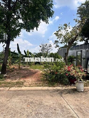 BÁN ĐẤT ĐẸP MỸ PHƯỚC 2-BẾN CÁT 300M2/800TR HỢP ĐẦU TƯ KINH DOANH SHR