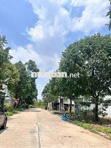 BÁN ĐẤT ĐẸP MỸ PHƯỚC 2-BẾN CÁT 300M2/800TR HỢP ĐẦU TƯ KINH DOANH SHR