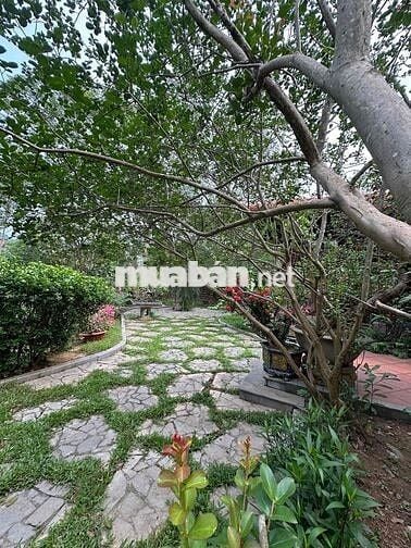 Em để lại nhà hàng xóm nghệ sĩ Xuân Hinh