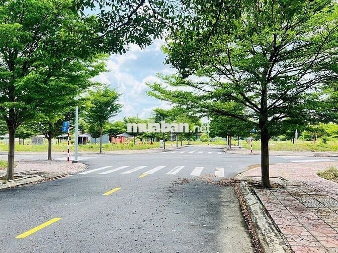 BÁN ĐẤT ĐẸP KCN THỚI HÒA-BẾN CÁT 300m2/800tr HỢP ĐẦU TƯ KINH DIANH SHR