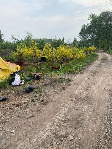 Bán đất P.Tây Nam Tp HCM giáp rạch, gần sông SG, tiện ra TL744.