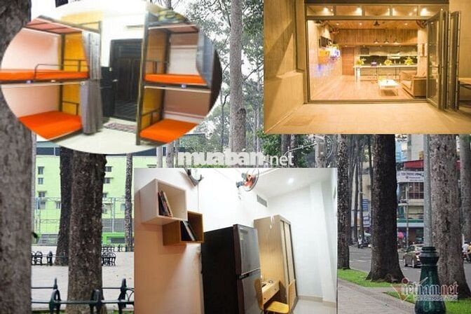 Đại học Y dược HCM UMP Hồng Bàng Phòng ghép Sinh viên Văn phòng