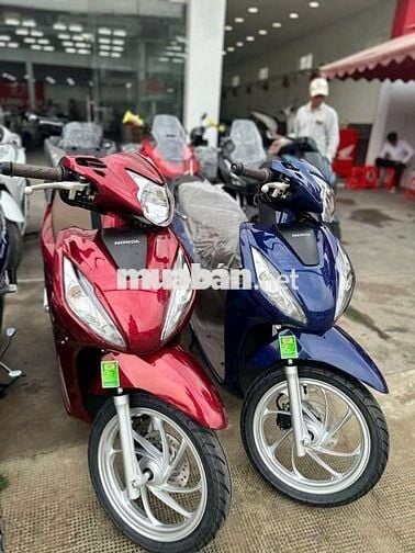 Honda Vision Đa dạng
