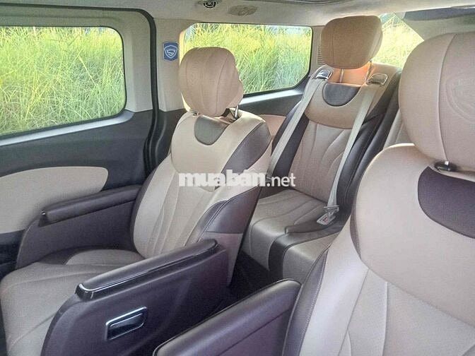Ford Tourneo  2021 Nâu