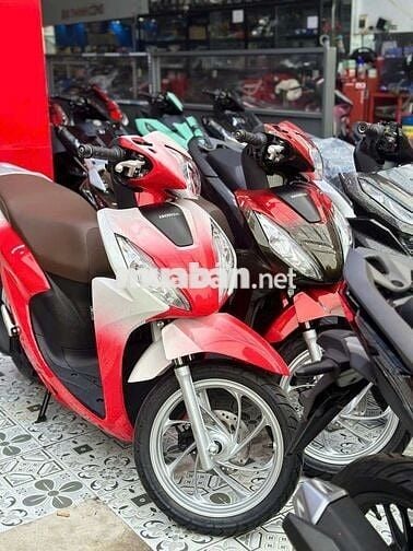 Honda Vision Đa dạng