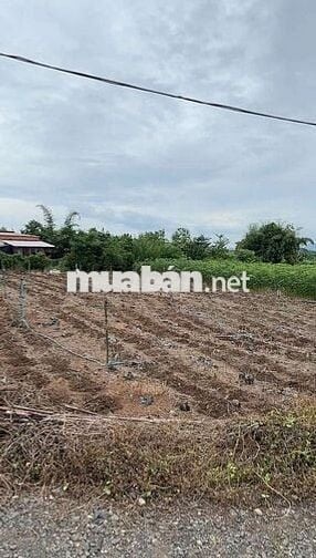 Đất thổ cư, sản phẩm hiếm có, khó tìm. Dành cho anh chị tài chính thấp