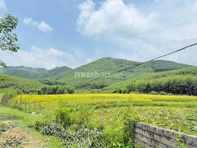 BÁN GẤP LÔ ĐẤT 630M2 GẦN DỰ ÁN SUN GROUP CUỐI HẠ KIM BÔI GIÁ 930 TRIỆU