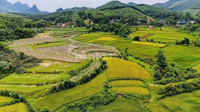 BÁN GẤP LÔ ĐẤT 630M2 GẦN DỰ ÁN SUN GROUP CUỐI HẠ KIM BÔI GIÁ 930 TRIỆU