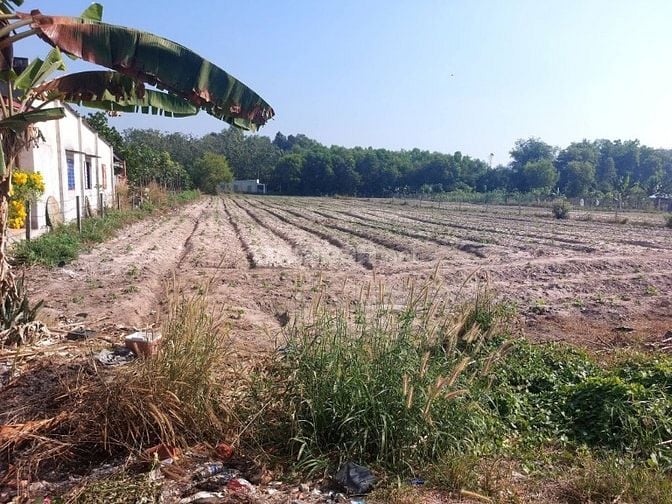 Chính chủ bán đất trung tâm Minh Tân, Dầu Tiếng