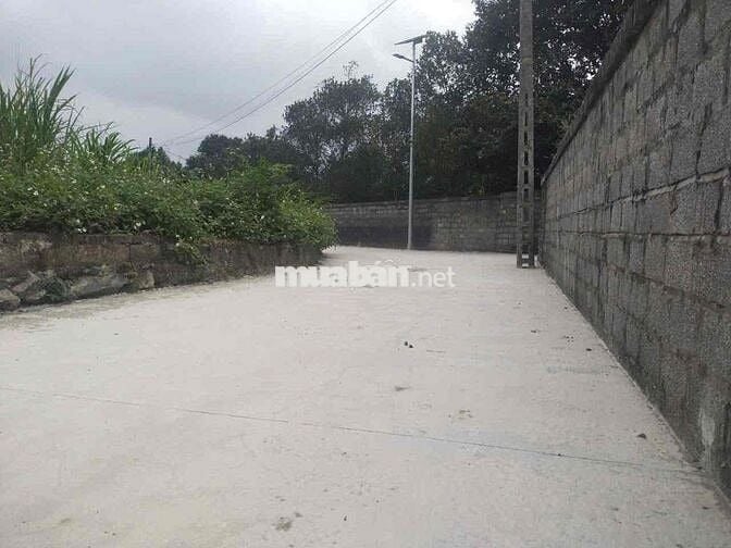 Cần bán 135m2 sát KCN Phú Sơn, Lương Sơn, Phú Thọ, nhỉnh 1 tỷ