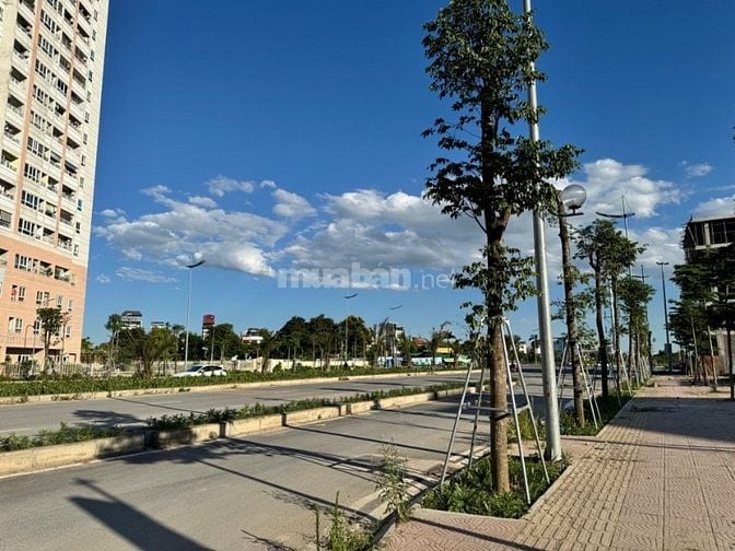 Bán nhanh đất phân lô Trịnh Văn Bô Nam Từ Liêm Hà Nội giá hời