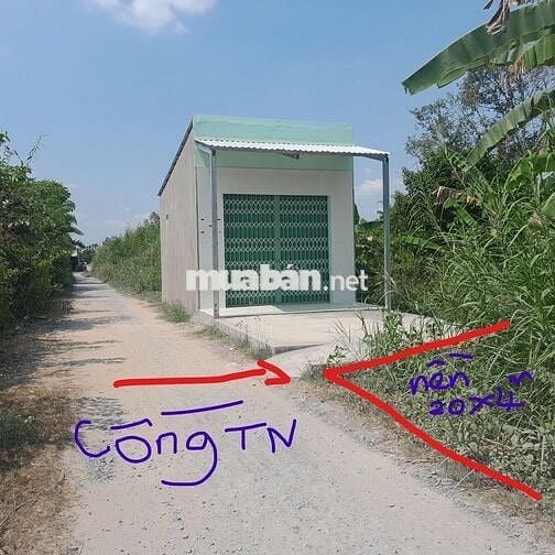 Bán đất Cầu Ông Cò đường tỉnh 925 Từ BV số 10 vào Chợ Cái Chanh