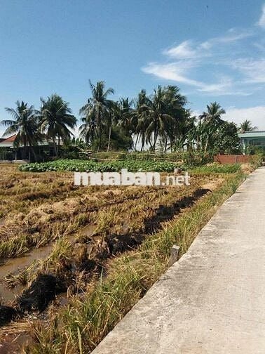 Cần vốn làm ăn bán gấp đất full thổ cư 107m2