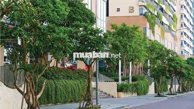 DIAMOND LOTUS RIVERSIDE_1PN_FULL NỘI THẤT _ TẦNG CAO _VIEW Q1_GIÁ TỐT