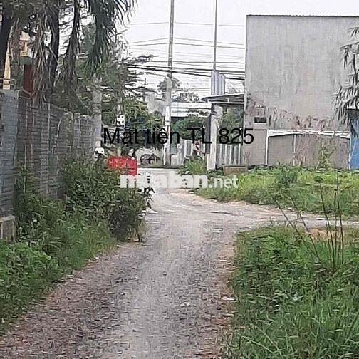 Đường 825 -  KV 4 - cách Công Viên Võ Văn Tần 2Km - Thị Trấn Đức Hoà