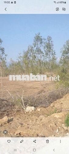 CHÍNH CHỦ BÁN 3 HECTA (30.000m²) TẠI RÃ TRÊN - PHƯỚC TRUNG