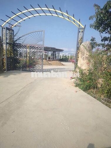 CHÍNH CHỦ BÁN 3 HECTA (30.000m²) TẠI RÃ TRÊN - PHƯỚC TRUNG