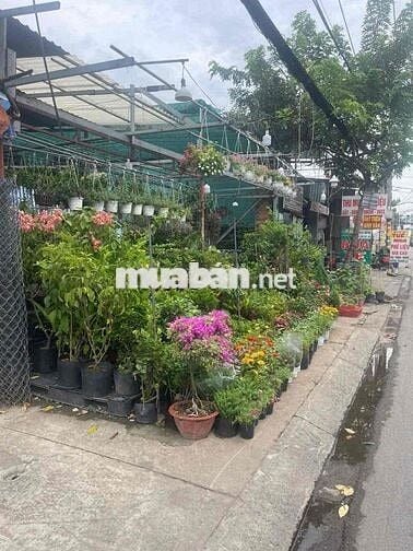 Đất thổ cư mặt tiền đường 932 Hương Lộ 2 Bình Tân