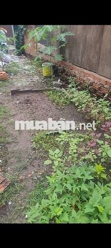 Bán đất 100m2 (5×20) hẻm đường Đoàn Thị Kia, gần ngã 3 Ông Xã 