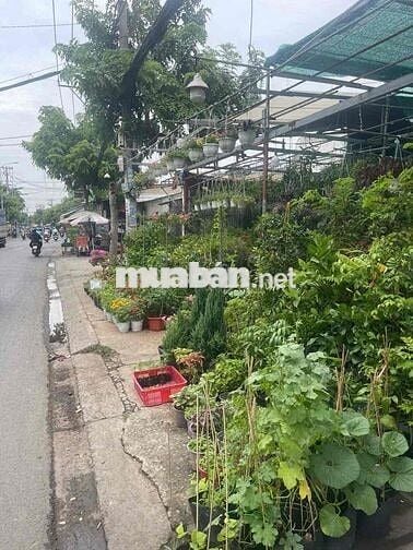 Đất thổ cư mặt tiền đường 932 Hương Lộ 2 Bình Tân