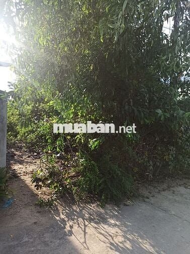 Đất Diên Đồng (Diên Lâm mới) full thổ cư