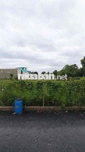 đất mặt tiền đường nhựa 9x28 tại tân vĩnh hiệp tân uyên