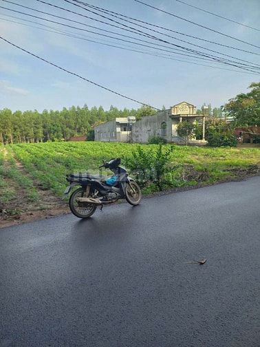 CHÍNH CHỦ CẦN BÁN LÔ ĐẤT THỔ CƯ 1976m2 ĐẦU TƯ SINH LỜI 