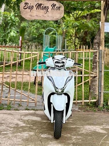 Honda Lead 2019 Trắng