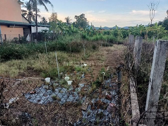Bán đất 133m2, 1,5 tỷ tại xã Hoài Xuân, thị xã Hoài Nhơn, Bình Định