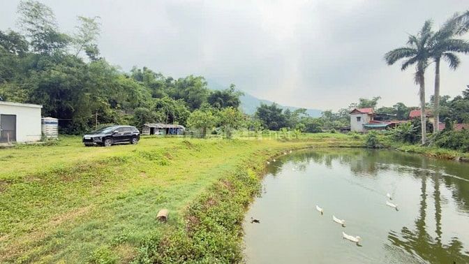 CẦN BÁN NHÀ VƯỜN VIEW CÁNH ĐỒNG DT 3100M TẠI LIÊN SƠN (CƯ YÊN CŨ)