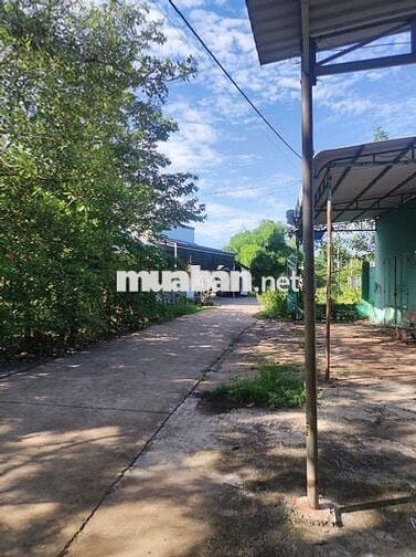 Chính chủ bán đất trung tâm Lộc Hưng: 10x60m, sát 3 trường UBND xã