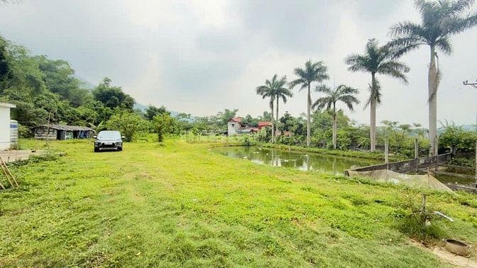 CẦN BÁN NHÀ VƯỜN VIEW CÁNH ĐỒNG DT 3100M TẠI LIÊN SƠN (CƯ YÊN CŨ)