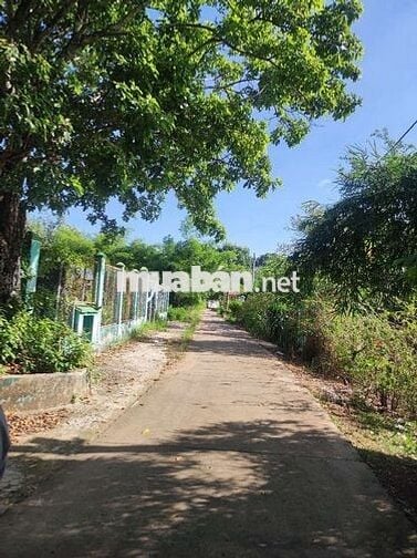 Chính chủ bán đất trung tâm Lộc Hưng: 10x60m, sát 3 trường UBND xã
