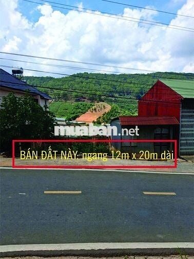 Đất Thổ Cư Mặt Tiền Đường Nhựa Xuân Sơn - VỊ TRÍ TUYỆT ĐẸP...!!!