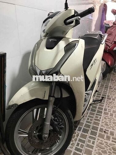 Honda SH Trắng
