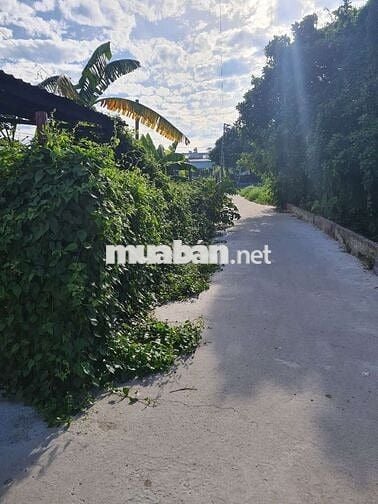 BÁN ĐẤT THỔ CƯ 123M2 GẦN THẠNH XUÂN 23 30M.